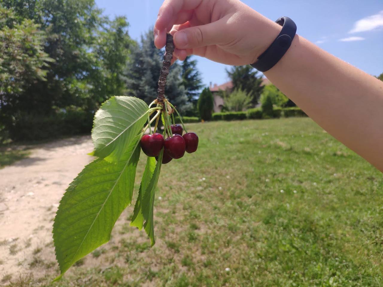 Стан «підвішеності»